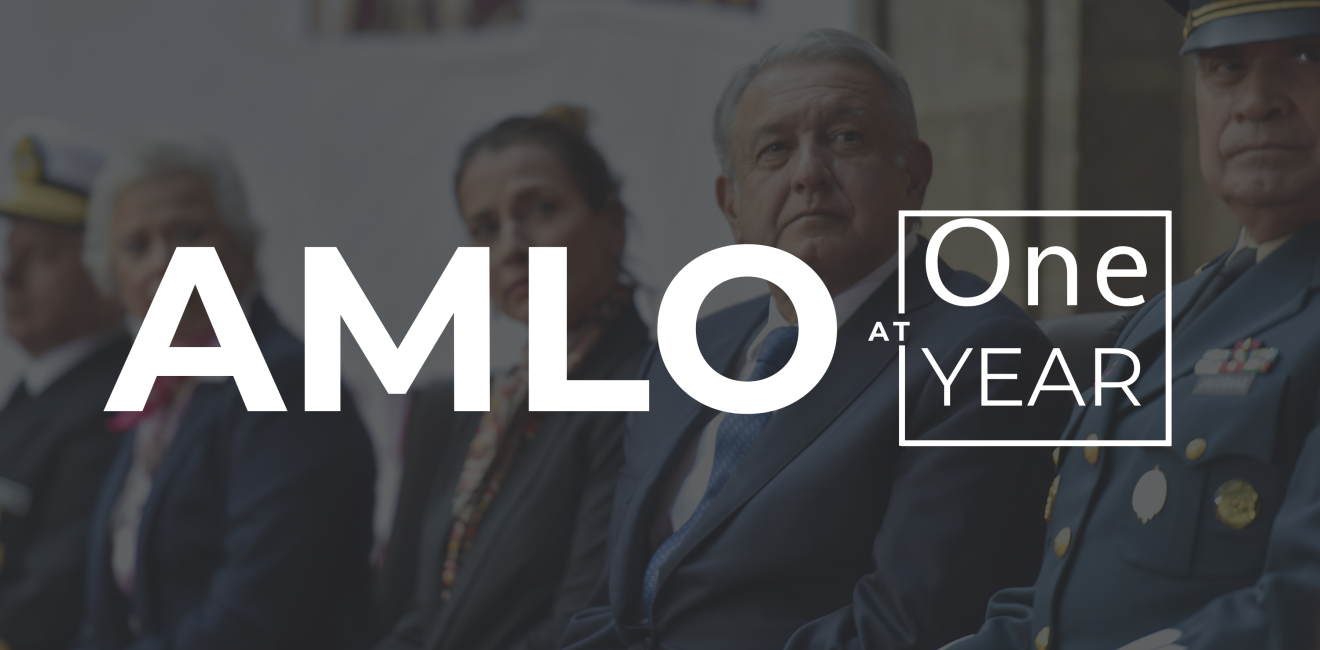 AMLO at One Year