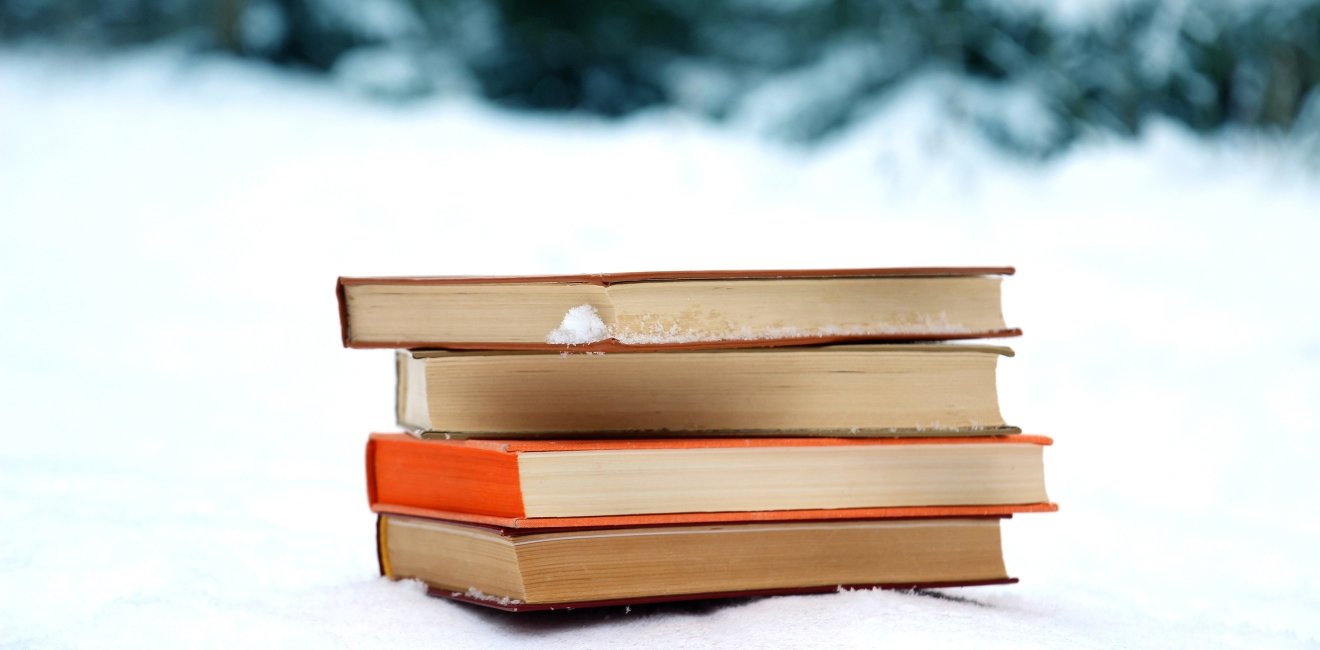 Stack of books in the snow