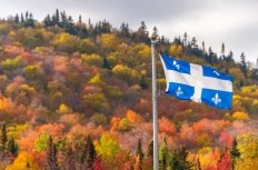 Quebec Flag in front of Woods