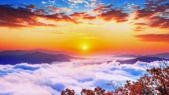 What To Look For in 2019: The Year Ahead in Asia