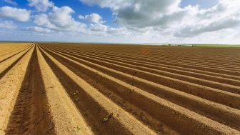 Plowed agricultural fields 