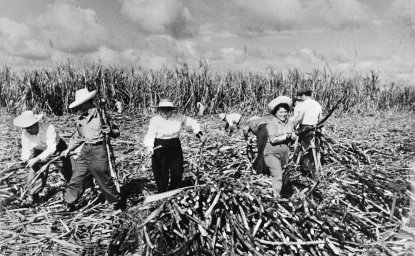 Sugar harvest in Cuba, 1970