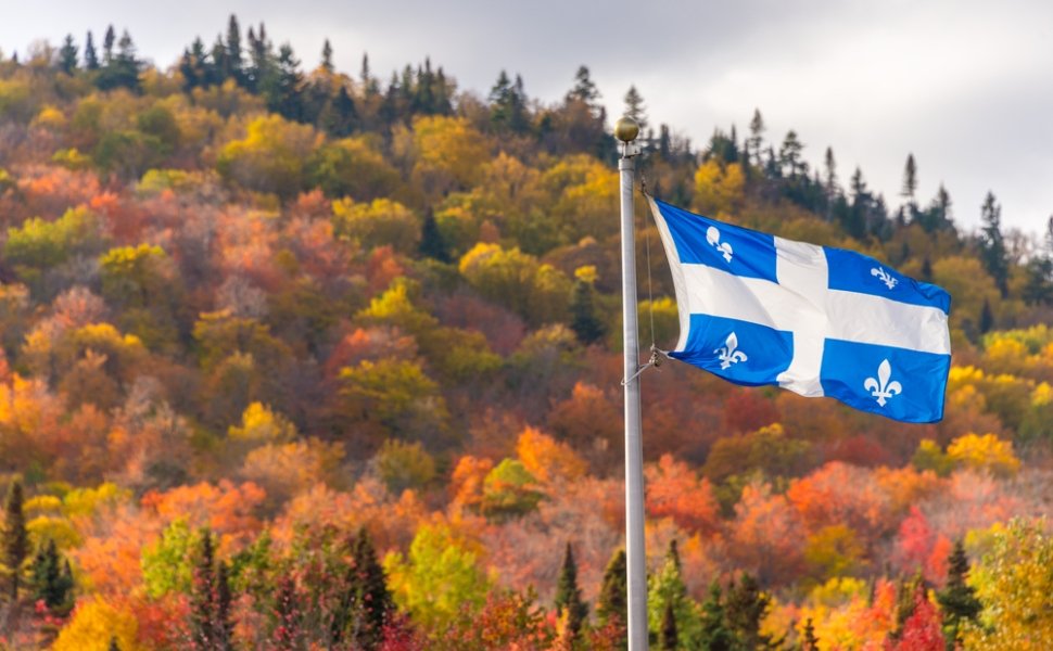 Quebec Flag in front of Woods