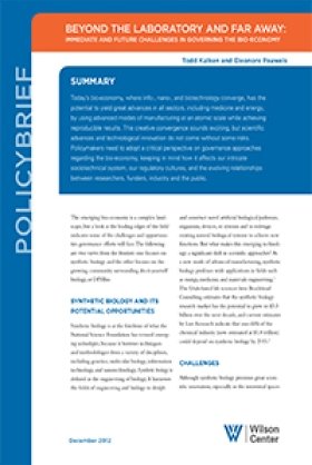 Beyond the Laboratory and Far Away: Immediate and Future Challenges in Governing the Bio-economy