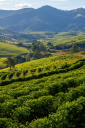 Image - Relatório Final: Diálogo Brasil-EUA sobre Sustentabilidade e Mudanças Climáticas