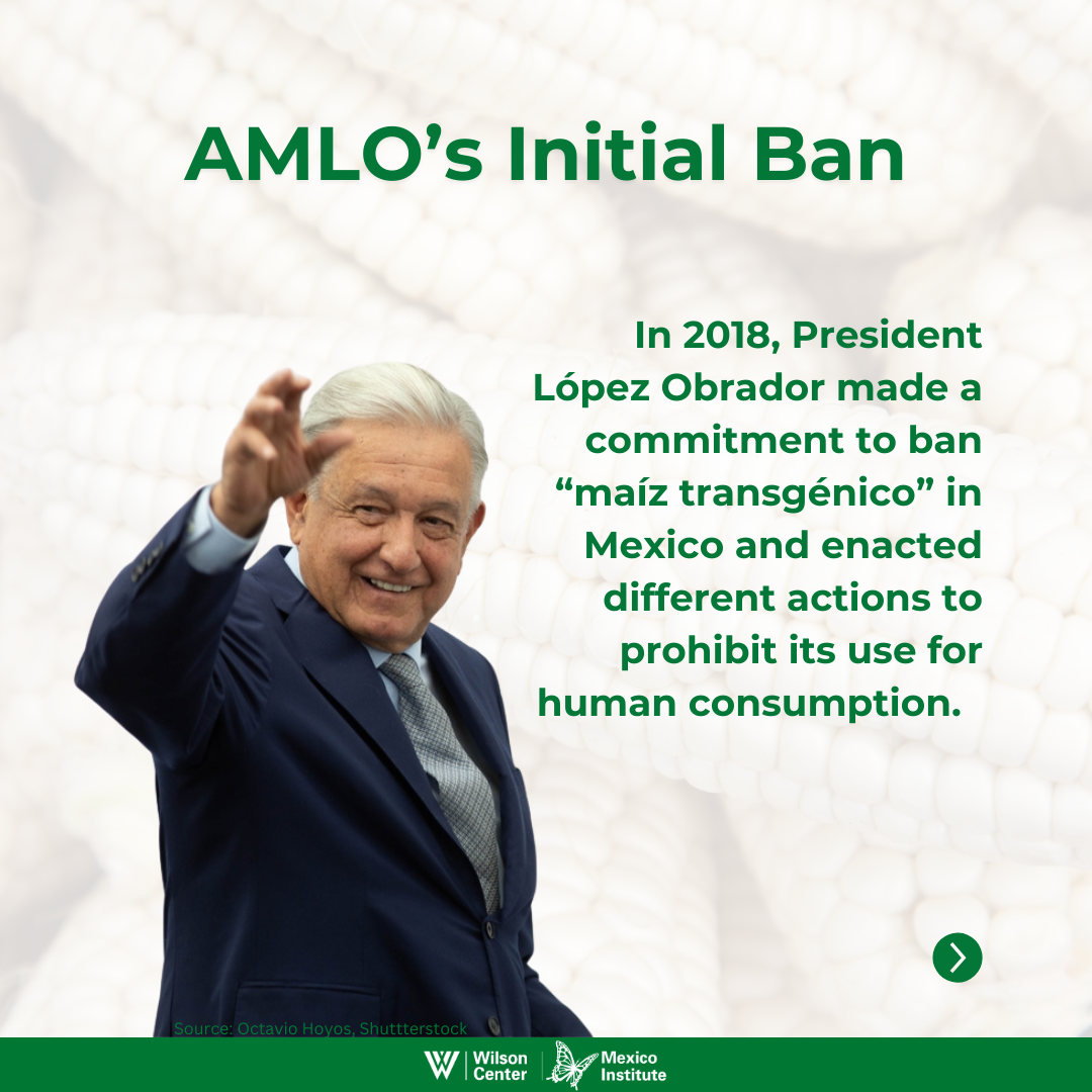 AMLO's iNITIAL bAN