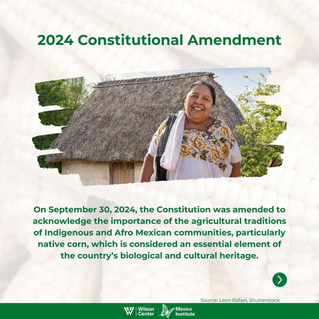 2024 Constitutional Amendment