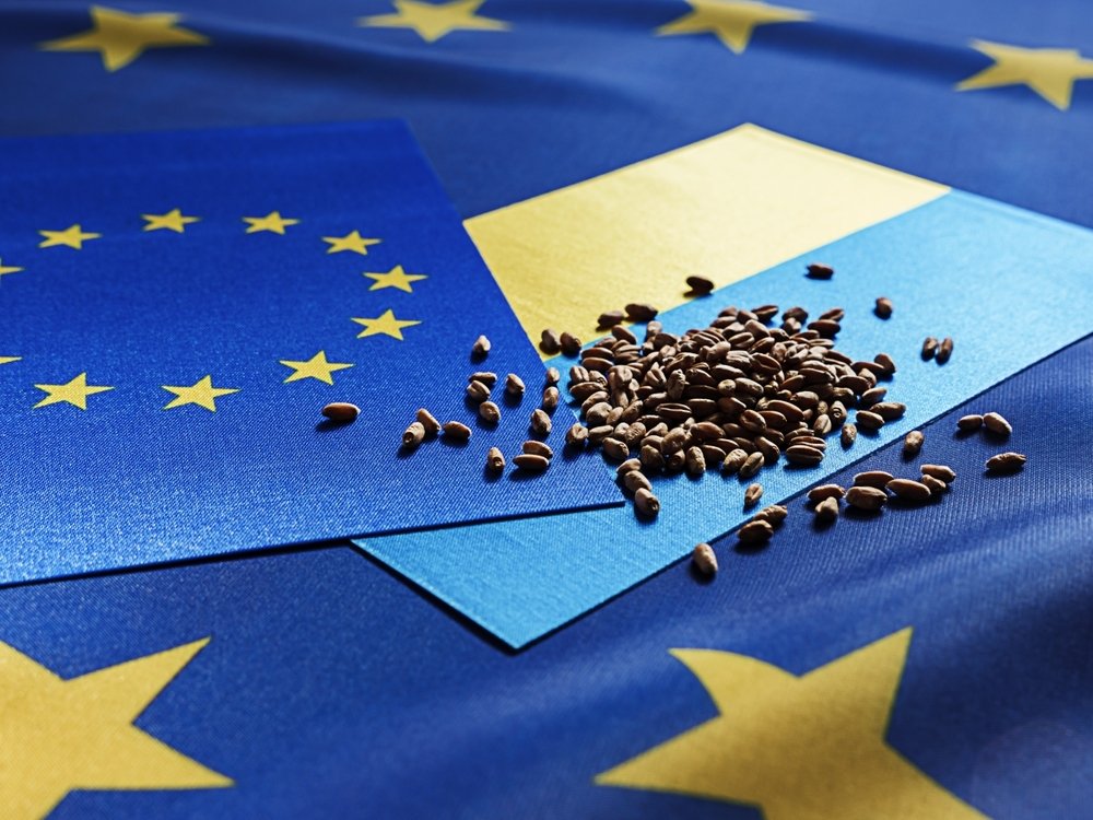 Grain deal between Ukraine and the EU
