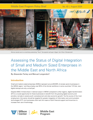 Assessing the Status of Digital Integration