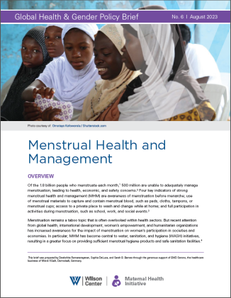 Page one of policy brief by the Maternal Health Initiative