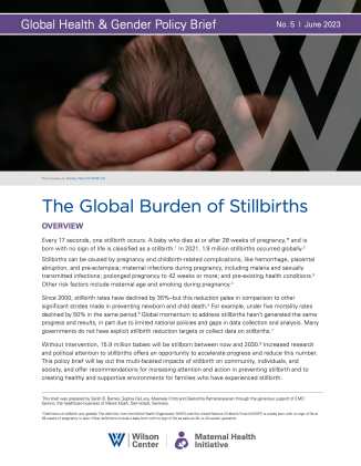 Image - Stillbirths Brief Page 1