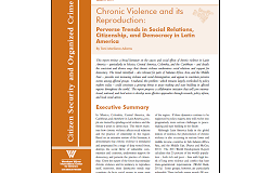 Chronic Violence and its Reproduction: Perverse Trends in Social Relations, Citizenship, and Democracy in Latin America