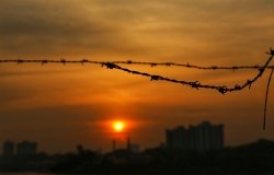 A piece of barbed wire in the foreground of a sunset over Mumbai