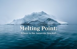 Alternative Antarctic Ice Title image