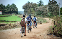 South Indian village children(friends) are going to school by bicycles(cycles or bikes) on a mud road in a nearby village