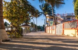 Image - Weekly Asado 4/16