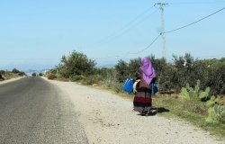 MEP_Tunisia_Rural