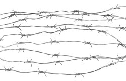 barbed wire