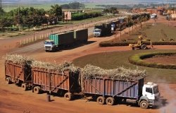 Campo Florido, Minas Gerais, Brazil